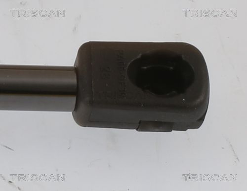 Dujinė spyruoklė, bagažinė TRISCAN 8710 43251