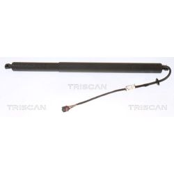 Dujinė spyruoklė, bagažinė TRISCAN 8710 43301