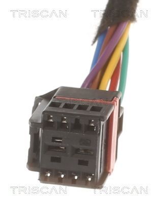 Dujinė spyruoklė, bagažinė TRISCAN 8710 43301