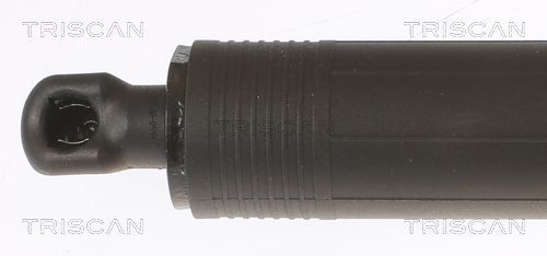 Dujinė spyruoklė, bagažinė TRISCAN 8710 43301