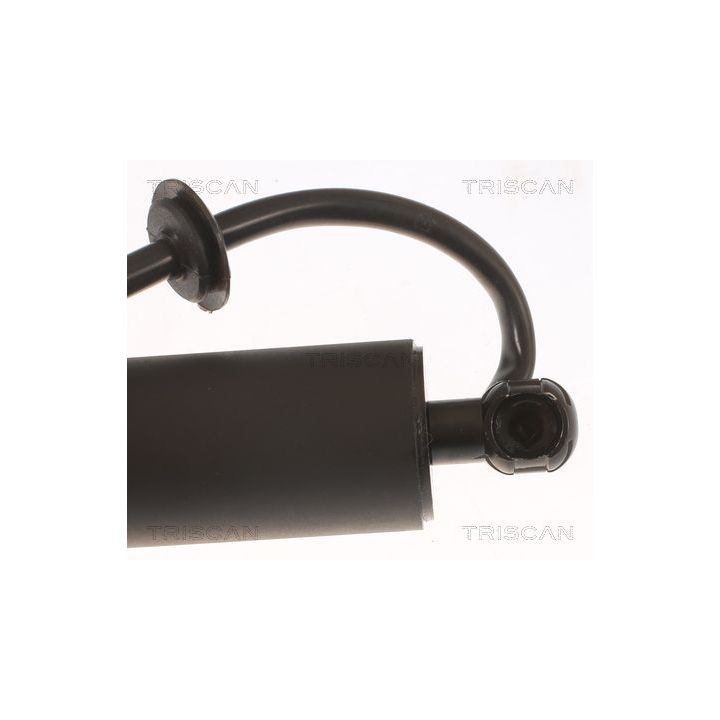 Dujinė spyruoklė, bagažinė TRISCAN 8710 43301