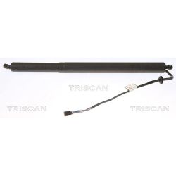 Dujinė spyruoklė, bagažinė TRISCAN 8710 43302