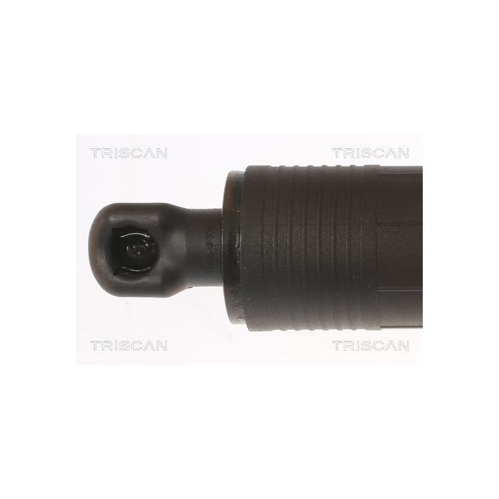 Dujinė spyruoklė, bagažinė TRISCAN 8710 43302