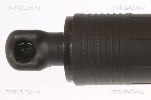 Dujinė spyruoklė, bagažinė TRISCAN 8710 43302
