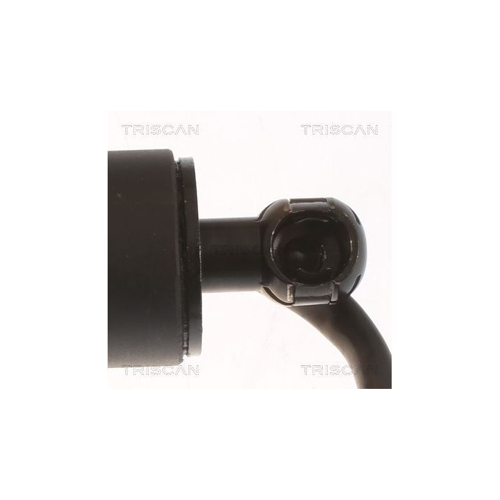 Dujinė spyruoklė, bagažinė TRISCAN 8710 43302
