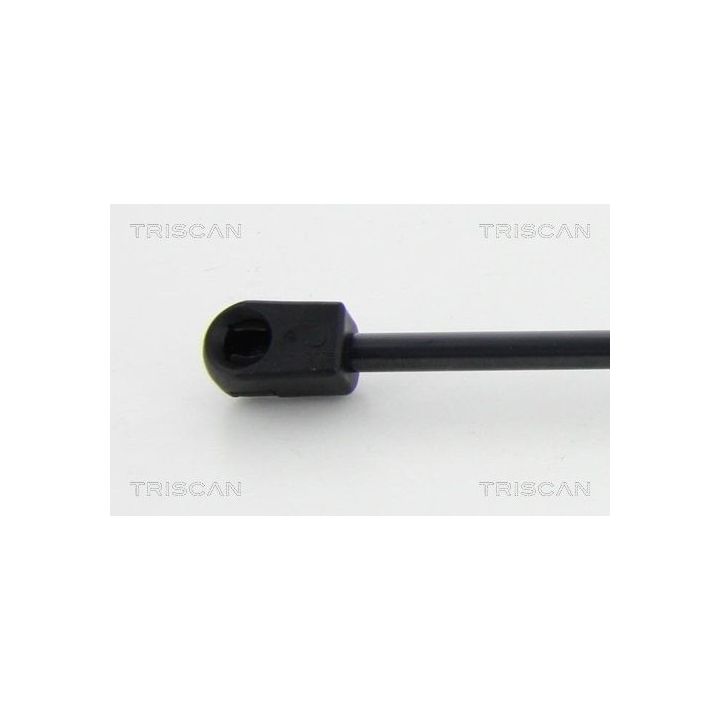 Dujinė spyruoklė, bagažinė TRISCAN 8710 44203