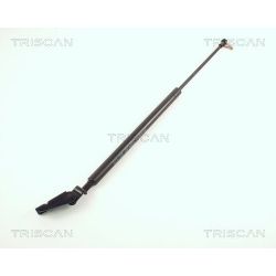 Dujinė spyruoklė, bagažinė TRISCAN 8710 50205