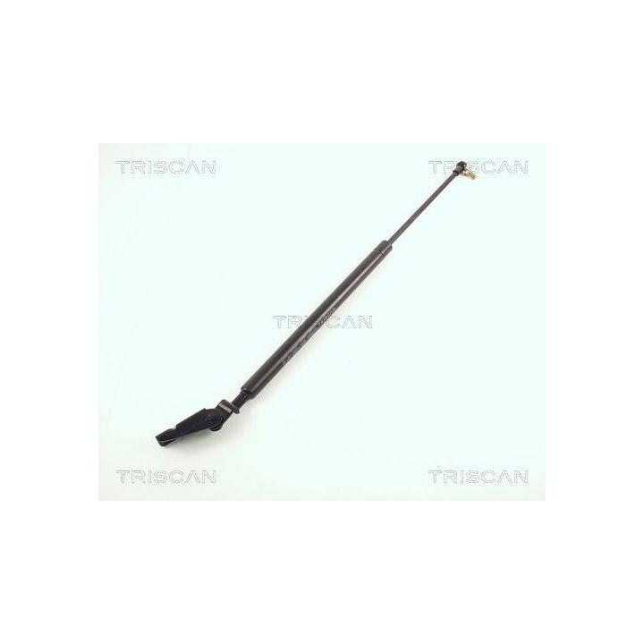 Dujinė spyruoklė, bagažinė TRISCAN 8710 50205