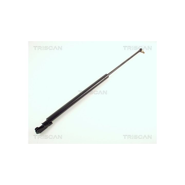 Dujinė spyruoklė, bagažinė TRISCAN 8710 50207