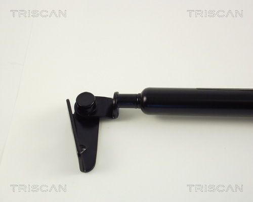 Dujinė spyruoklė, bagažinė TRISCAN 8710 50208