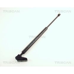 Dujinė spyruoklė, bagažinė TRISCAN 8710 50209