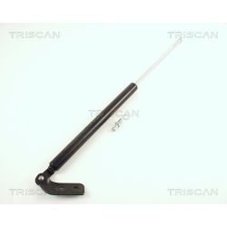 Dujinė spyruoklė, bagažinė TRISCAN 8710 50212