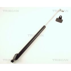 Dujinė spyruoklė, bagažinė TRISCAN 8710 50217