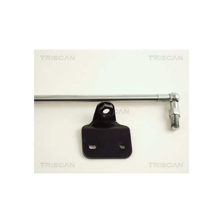 Dujinė spyruoklė, bagažinė TRISCAN 8710 50217