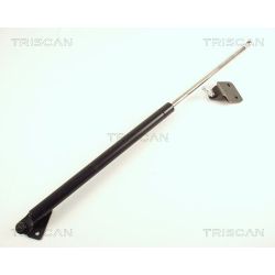 Dujinė spyruoklė, bagažinė TRISCAN 8710 50218