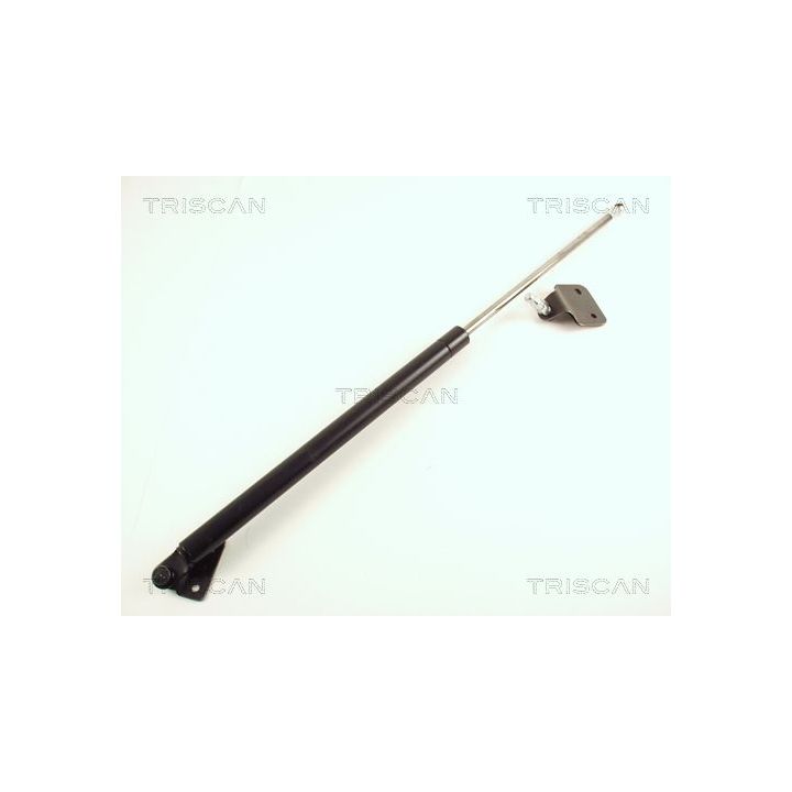 Dujinė spyruoklė, bagažinė TRISCAN 8710 50218