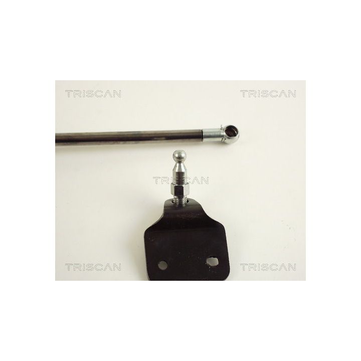 Dujinė spyruoklė, bagažinė TRISCAN 8710 50218