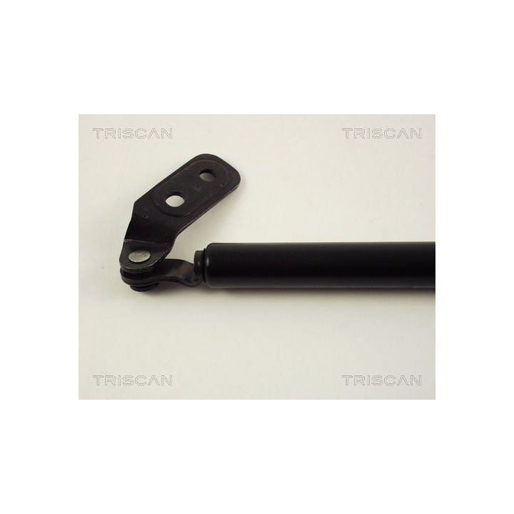 Dujinė spyruoklė, bagažinė TRISCAN 8710 50221