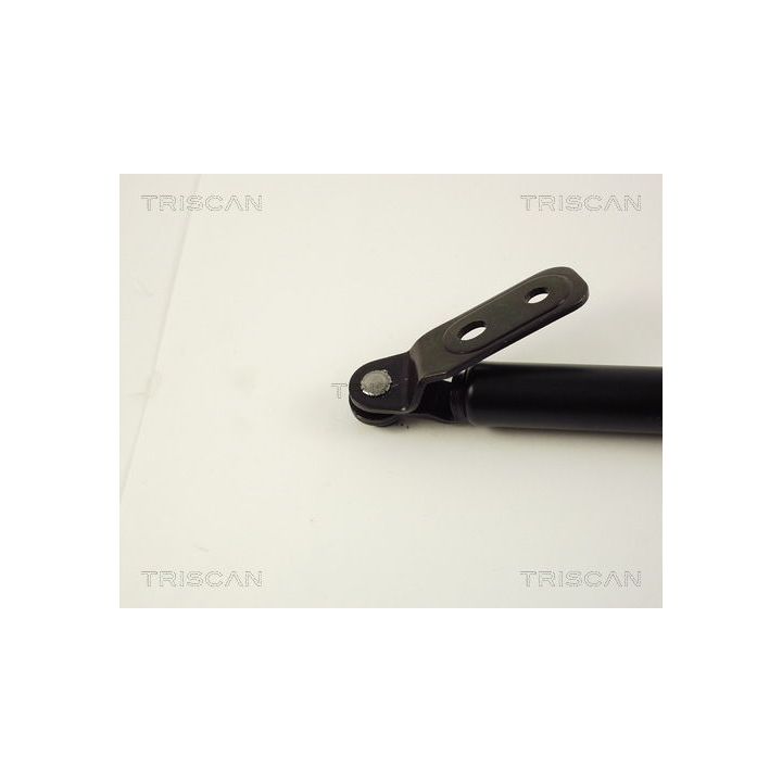 Dujinė spyruoklė, bagažinė TRISCAN 8710 50222