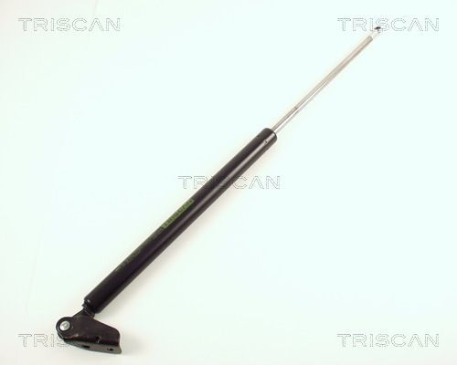 Dujinė spyruoklė, bagažinė TRISCAN 8710 50223