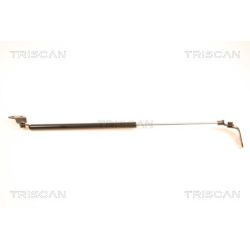 Dujinė spyruoklė, bagažinė TRISCAN 8710 50229