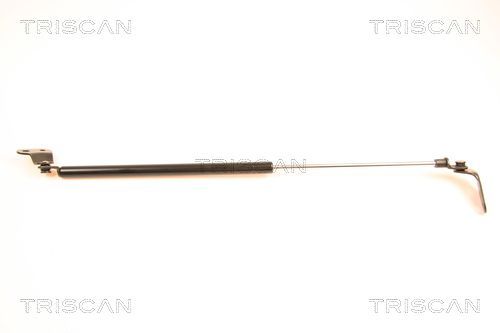 Dujinė spyruoklė, bagažinė TRISCAN 8710 50229