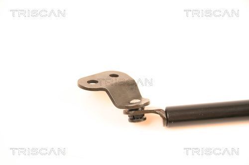 Dujinė spyruoklė, bagažinė TRISCAN 8710 50229