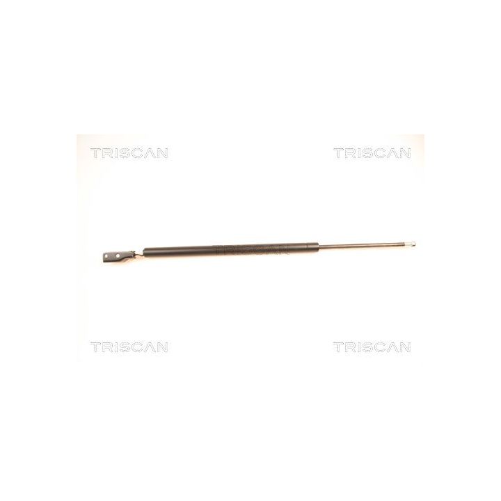 Dujinė spyruoklė, bagažinė TRISCAN 8710 50231