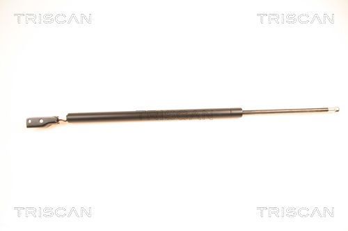 Dujinė spyruoklė, bagažinė TRISCAN 8710 50231