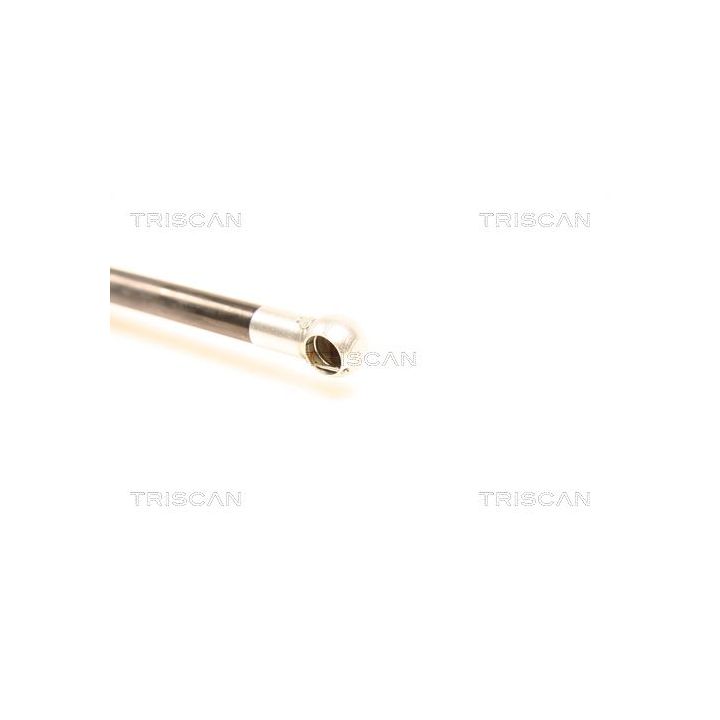 Dujinė spyruoklė, bagažinė TRISCAN 8710 50231