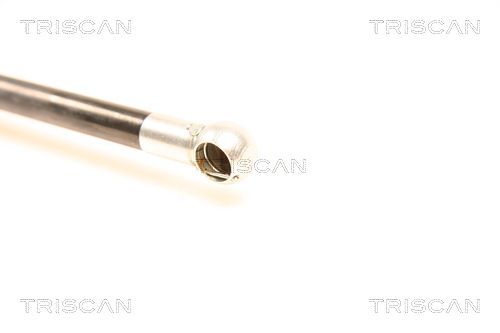 Dujinė spyruoklė, bagažinė TRISCAN 8710 50231