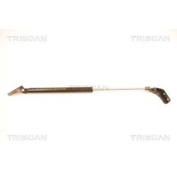 Dujinė spyruoklė, bagažinė TRISCAN 8710 50232