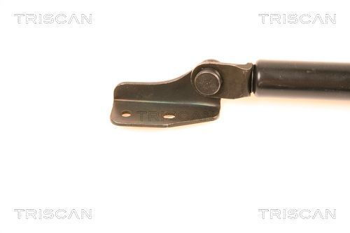 Dujinė spyruoklė, bagažinė TRISCAN 8710 50232