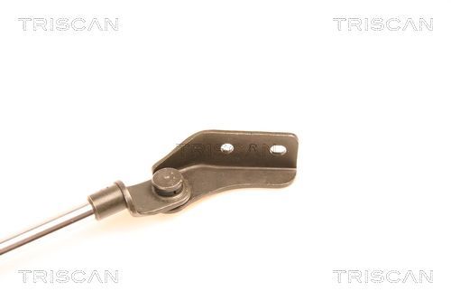 Dujinė spyruoklė, bagažinė TRISCAN 8710 50232