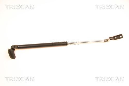 Dujinė spyruoklė, bagažinė TRISCAN 8710 50233