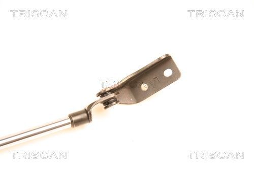 Dujinė spyruoklė, bagažinė TRISCAN 8710 50233