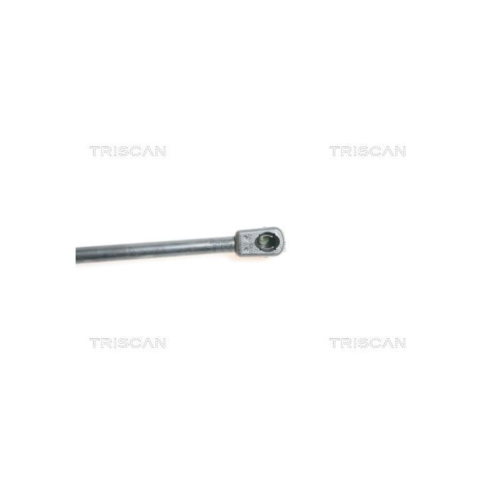 Dujinė spyruoklė, bagažinė TRISCAN 8710 50234