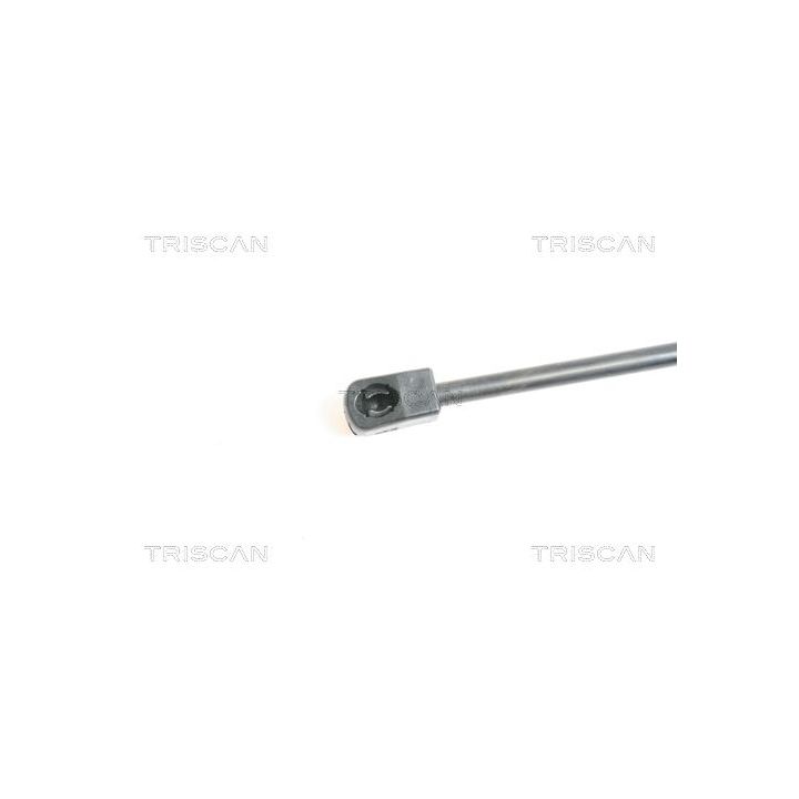 Dujinė spyruoklė, bagažinė TRISCAN 8710 50237