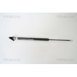 Dujinė spyruoklė, bagažinė TRISCAN 8710 50239