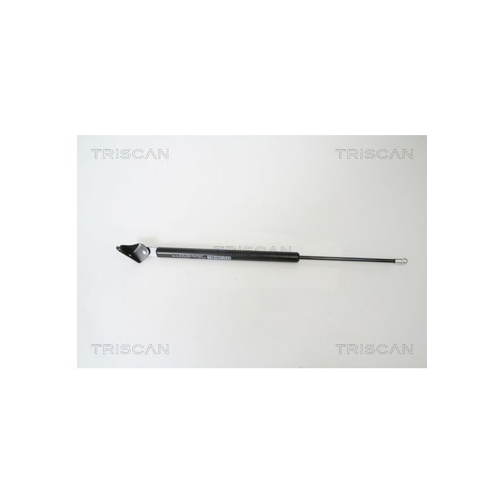 Dujinė spyruoklė, bagažinė TRISCAN 8710 50239