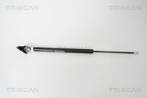 Dujinė spyruoklė, bagažinė TRISCAN 8710 50239