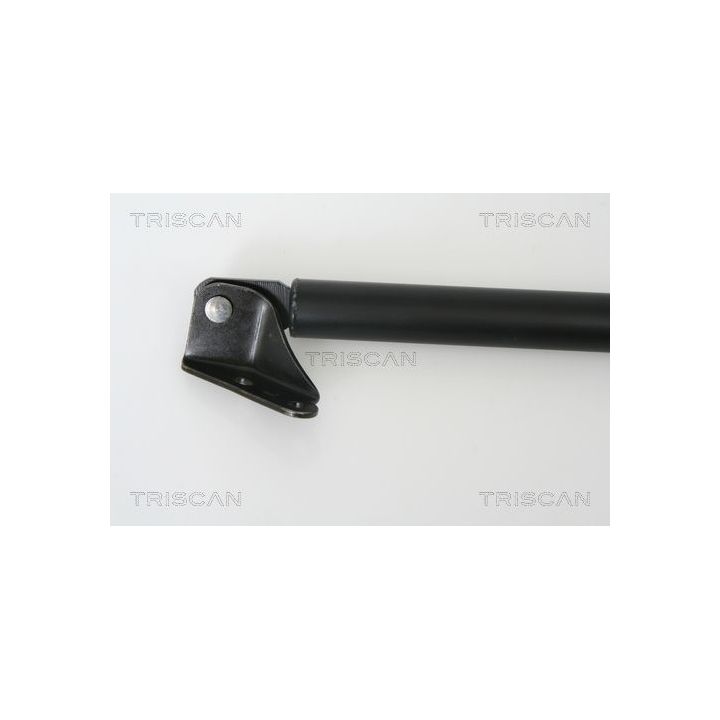 Dujinė spyruoklė, bagažinė TRISCAN 8710 50240