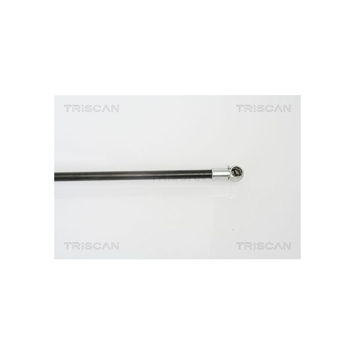 Dujinė spyruoklė, bagažinė TRISCAN 8710 50240