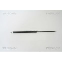 Dujinė spyruoklė, bagažinė TRISCAN 8710 50241
