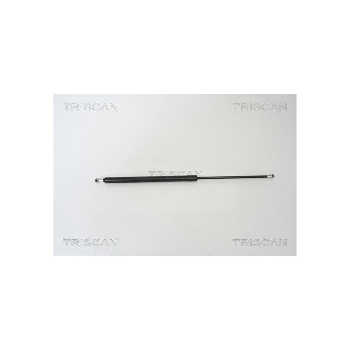 Dujinė spyruoklė, bagažinė TRISCAN 8710 50241