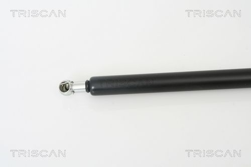 Dujinė spyruoklė, bagažinė TRISCAN 8710 50241