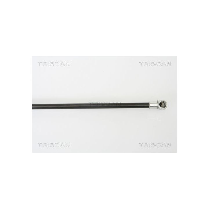 Dujinė spyruoklė, bagažinė TRISCAN 8710 50241