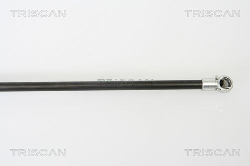 Dujinė spyruoklė, bagažinė TRISCAN 8710 50241