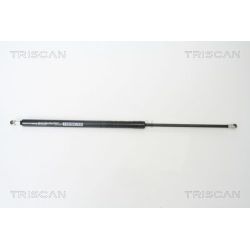 Dujinė spyruoklė, bagažinė TRISCAN 8710 50243