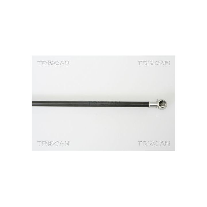 Dujinė spyruoklė, bagažinė TRISCAN 8710 50243